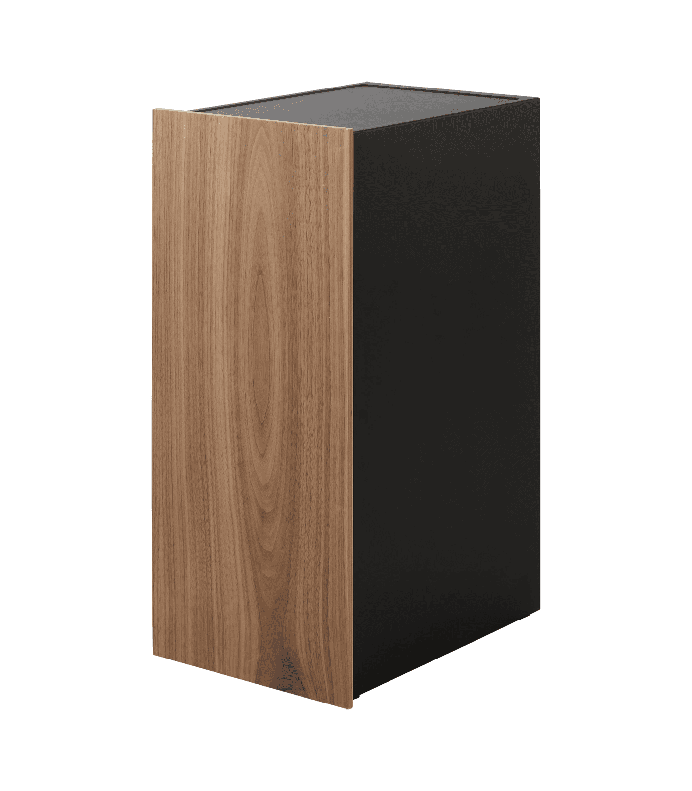 Black and Walnut Steel Video Game Storage Cabinet