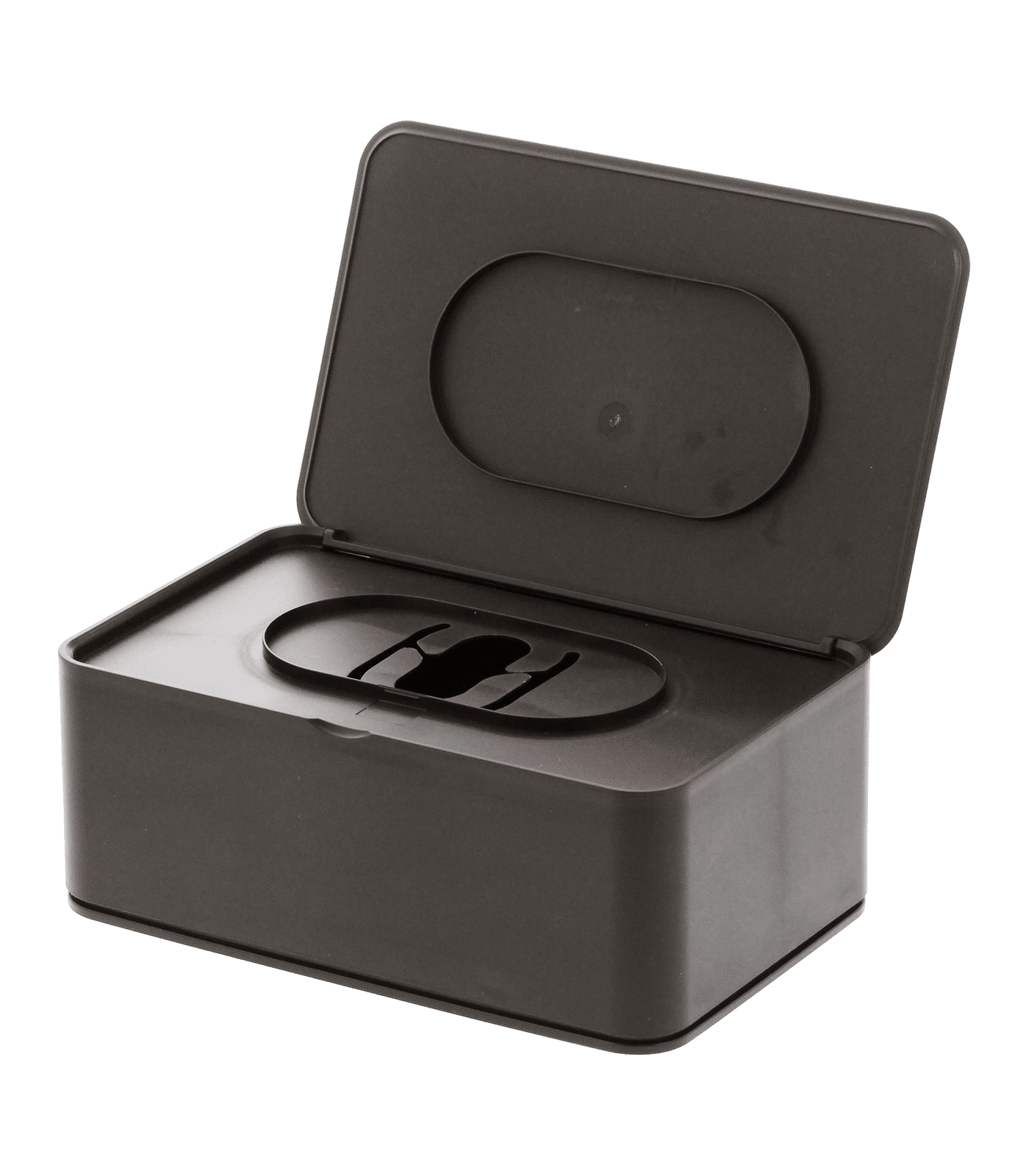 Compact Brown Contemporary Wet Tissue Case