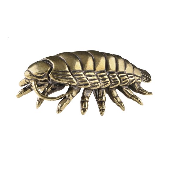 Yammee Artistic Brasses Giants Isopod Sculpture Antique Prehistoric Creature Home Accent