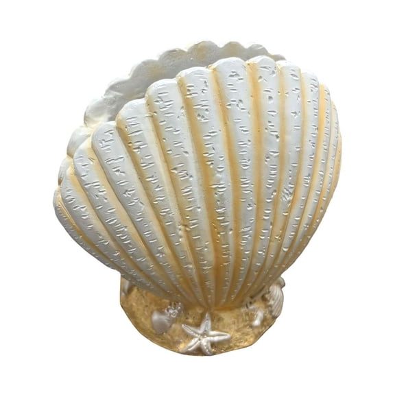 Yammee Beautiful Handcrafted Shell Planter Ideal For Succulents Arrangements Indoor Use