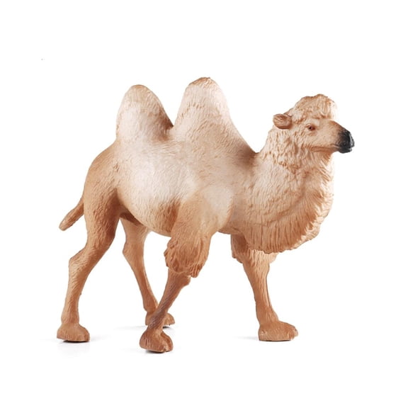 Yammee Life Like Bactrian Camels Model Figure RealLife Animal Statue Figurine SafariZoo Boutique Store Science Classroom Award
