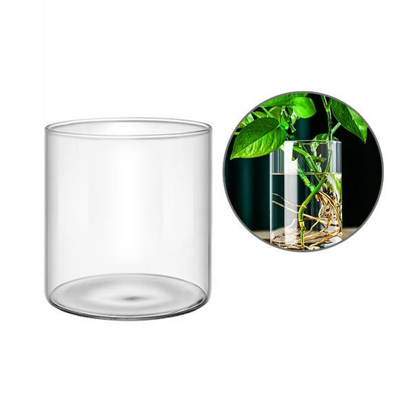 Yammee Modern Clear Glass Flower Vase Glass Cylinder Vase Florals Container Flower Vase