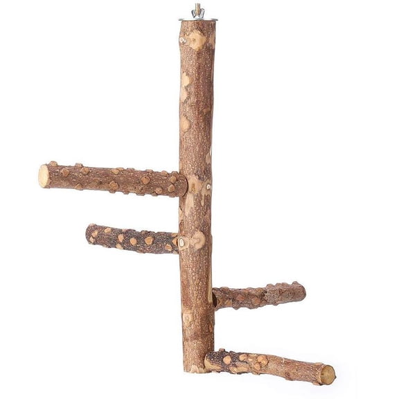 Yammee Parrot Perch Stands Birds Stand Pole Natural Wood Stick S/for M/L Multi Branch