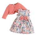 thumbnail image 1 of Yammkia Dress Baby Girl Toddler Girls Dress for Fall Long Sleeve Dresses for Girl's Dress Little Girl 6 9 12 18 24 Months 2T 3T(Pink,6-9 Months), 1 of 7