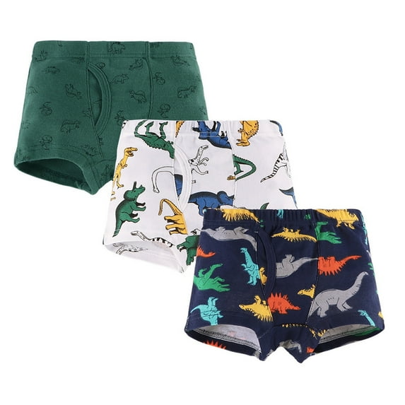 Yammkia Toddler Boys Brief Underwea Boys Cotton Underwear Soft Briefs Teen Panties Cotton Underwear 3 Pairs Little Big Boy Dinosaur Shorts Set for 3-4 Years,Green