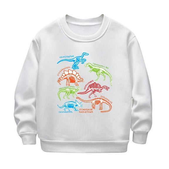 Rohuuque Kids Casual Pullover,Fashion Cartoon Print Hoodless Sweatshirt With Long Sleeve Tops 8 Years White
