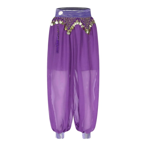 Yanarno Women Belly Dance Costume Chiffon Pants Lantern Pants Harem Pants Tribal Belly Dance Pants Purple One Size