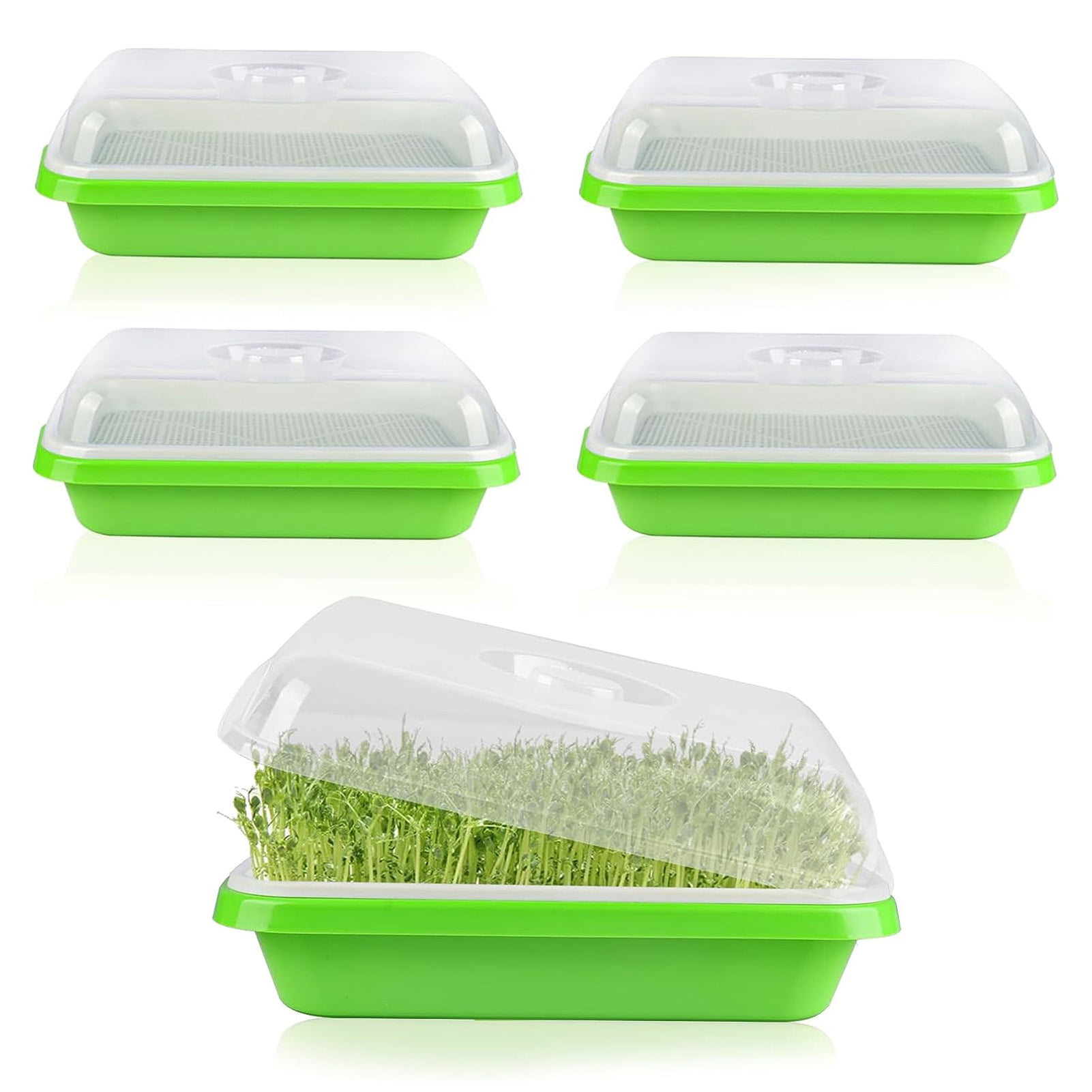 Seed Sprouter Tray, 1/2/5 Pcs Nursery Tray Seed Germination Tray