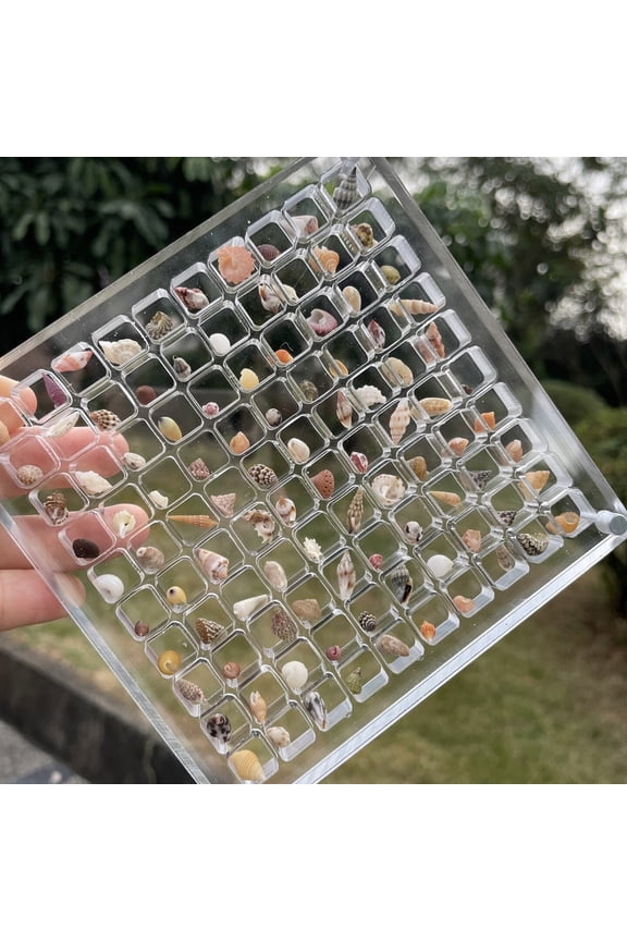 Acrylic Magnetic Seashell Display Box 36/64/100 Grids Square Small Crafts Natural Stone Nail Art Bead Charm Jewelry Show Organizer Container Case