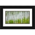 thumbnail image 1 of Yang, Jimmy 14x9 Black Ornate Wood Framed with Double Matting Museum Art Print Titled - Aspen Forest, 1 of 4