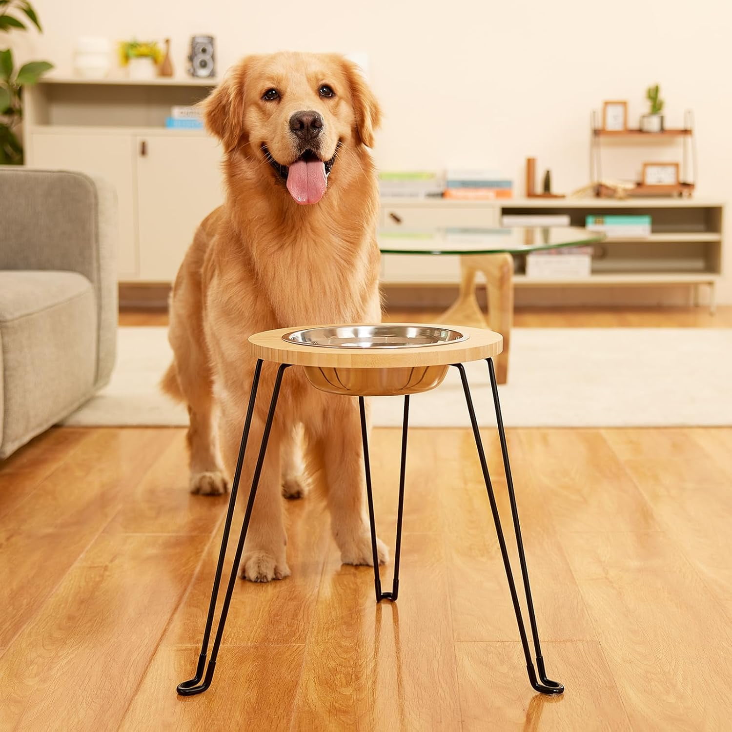 Retriever sales feeding station
