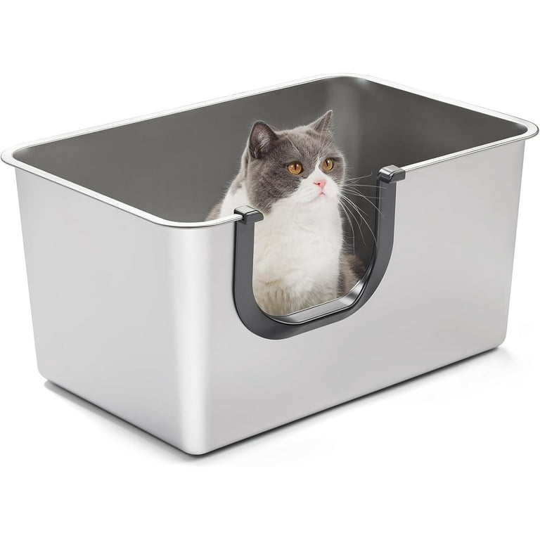 Best Litter Cat Litter Box For Older Cats The Best Automatic Litter Boxes  Of 2026, Tested