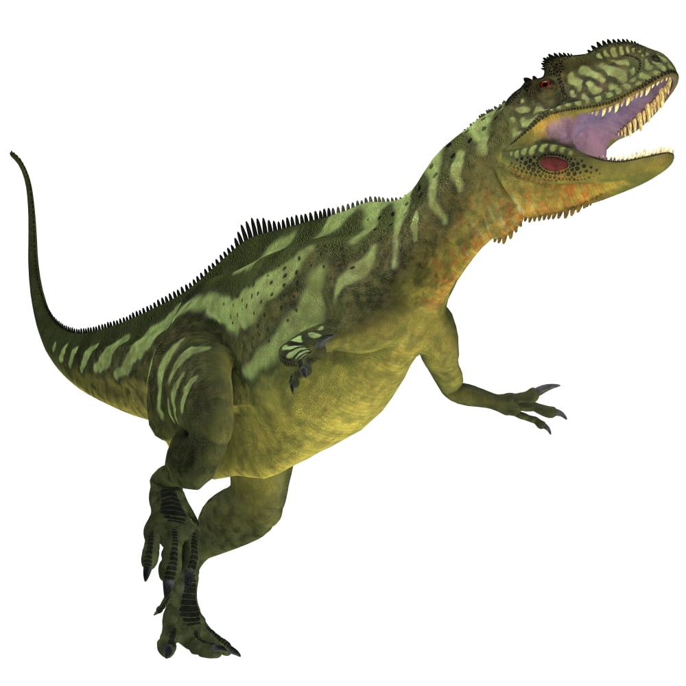 Yangchuanosaurus a theropod dinosaur from the Jurassic Period Canvas Art - Corey FordStocktrek Images (29 x 29)