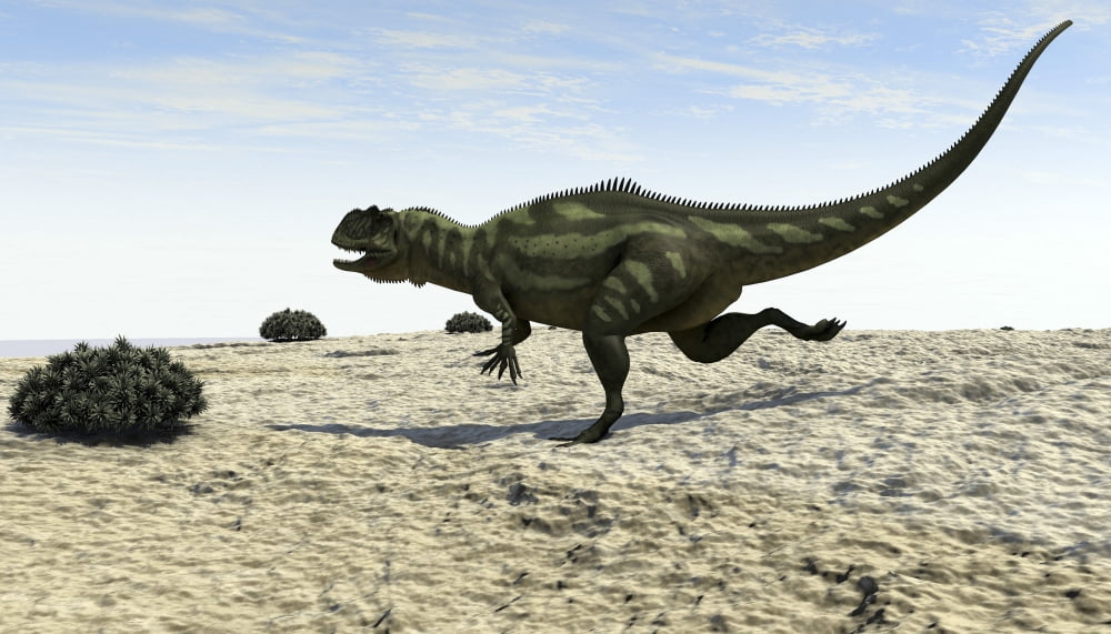 Yangchuanosaurus running across a barren landscape Canvas Art - Kostyantyn IvanyshenStocktrek Images (19 x 11)