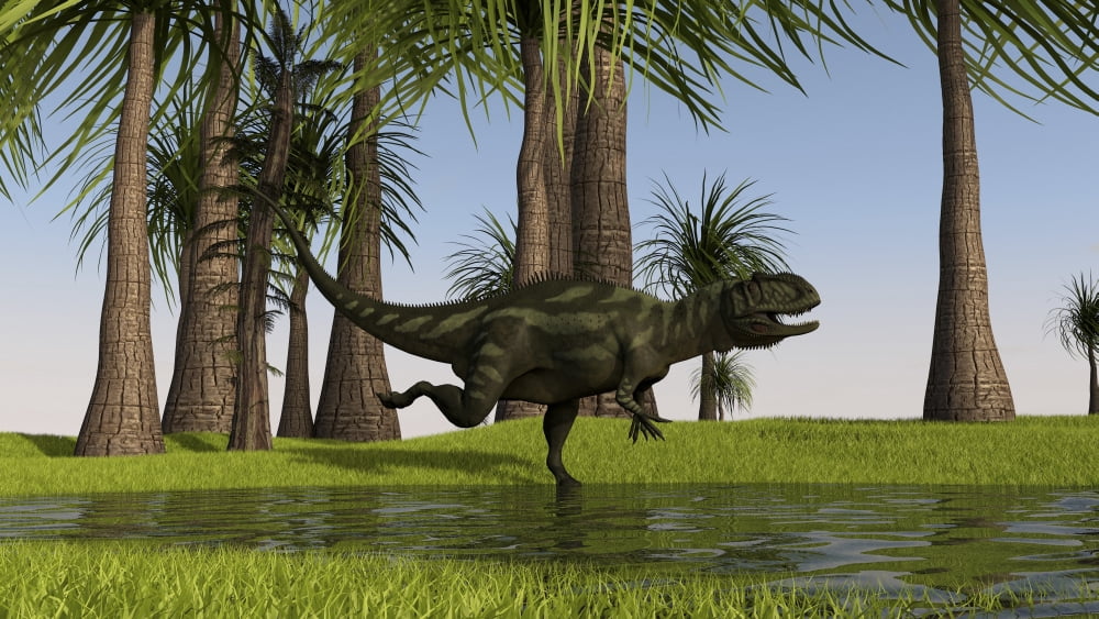 Yangchuanosaurus running through swampy water Canvas Art - Kostyantyn IvanyshenStocktrek Images (19 x 11)