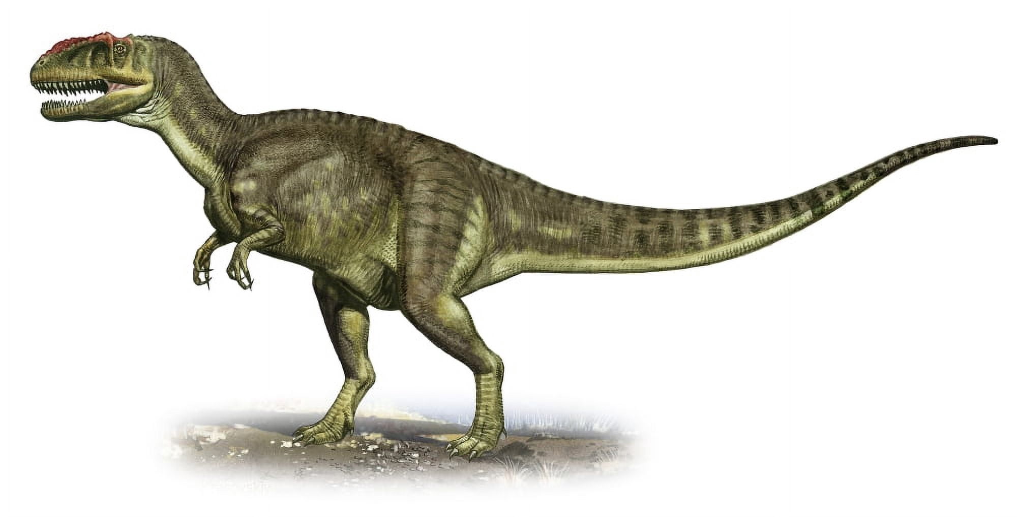 Yangchuanosaurus shangiouensis a prehistoric era dinosaur Canvas Art - Sergey KrasovskiyStocktrek Images (20 x 11)