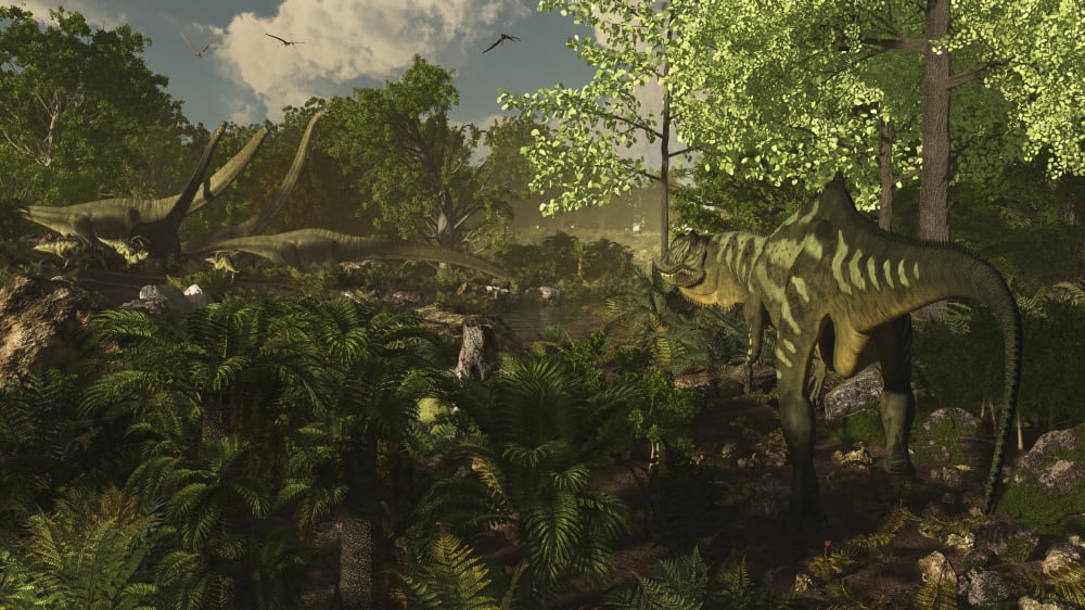 Yangchuanosaurus spies on a group of Mamenchisaurus Canvas Art - Arthur DoretyStocktrek Images (37 x 21)