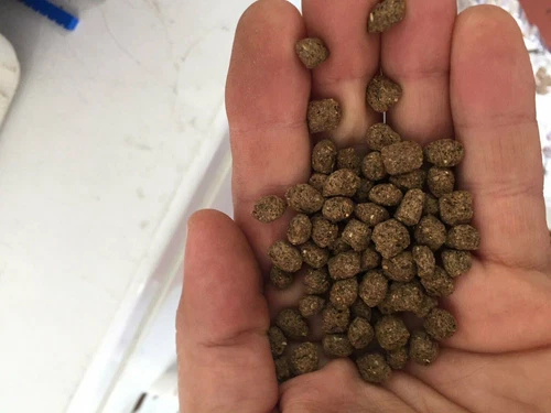 Yani - Best Koi Chiclid Goldfish Fish Food Floating Pond Pellets Medium Or Lrg *Choose*