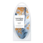 Yankee Candle 2.6 oz Scented Wax Melts, Silver Birch, 6 Count