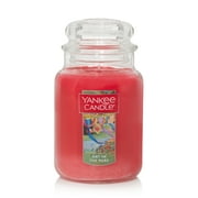 Yankee Candle Art in the Park - 22 oz Original Large Jar Scented Candle