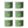 thumbnail image 1 of Yankee Candle Balsam & Cedar Signature Votive Mini Candle Glass Jar, 1.3 oz (Pack of 6), 1 of 9