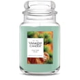 thumbnail image 1 of Yankee Candle Canyon Pine Original Large Jar Scented Candles, 22 oz, 1 of 6