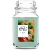 Yankee Candle 22 oz Original Large Jar Scented Candle, Canyon Pine, Green