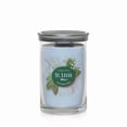 thumbnail image 1 of Yankee Candle Carefree Caribbean Collection St. Lucia Skies Large 2-Wick Signature Tumbler Candle, 1 of 3
