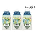 thumbnail image 1 of Yankee Candle Cucumber Mint Cooler 6-pc Fragranced Wax Melts 2.6 Oz (Pack Of 3), 1 of 6