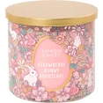 thumbnail image 1 of Yankee Candle STRAWBERRY BUNNY SHORTCAKE Decorative Signature 3-Wick  - Strawberries Layered with Vanilla Cake & Whipped Cream, 1 of 3