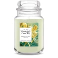 thumbnail image 1 of Yankee Candle Honeysuckle Grove Original Large Jar Scented Candles, 22 oz, 1 of 6