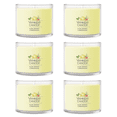 thumbnail image 1 of Yankee Candle Iced Berry Lemonade Signature Votive Mini Candle Glass Jar, 1.3 oz (Pack of 6), 1 of 4