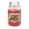 thumbnail image 1 of Yankee Candle Jar Candle, 19 oz. - Fresh Apple, 1 of 1