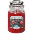 thumbnail image 1 of Yankee Candle Jar Candle, 19 oz. - Holiday Apple Wreath, 1 of 1