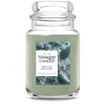 thumbnail image 1 of Yankee Candle Holiday Bayberry Original Large Jar Scented Candles, 22 oz, 1 of 7
