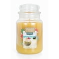 thumbnail image 1 of Yankee Candle Last Paradise Collection - Coconut Island - Large Original Jar Candle, 1 of 4