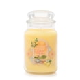 thumbnail image 1 of Yankee Candle Lemon Gelato, 22 oz Original Large Jar Candle, 1 of 7