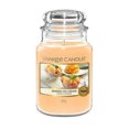 thumbnail image 1 of Yankee Candle Mango Ice Cream Scented Jar - 22oz, 1 of 1