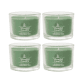 thumbnail image 1 of Yankee Candle Minis Jar, Shimmering Christmas Tree, 1.3 oz (Pack of 4), 1 of 7