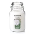 thumbnail image 1 of Yankee Candle White Gardenia Large Classic Jar Candle, 1 of 5