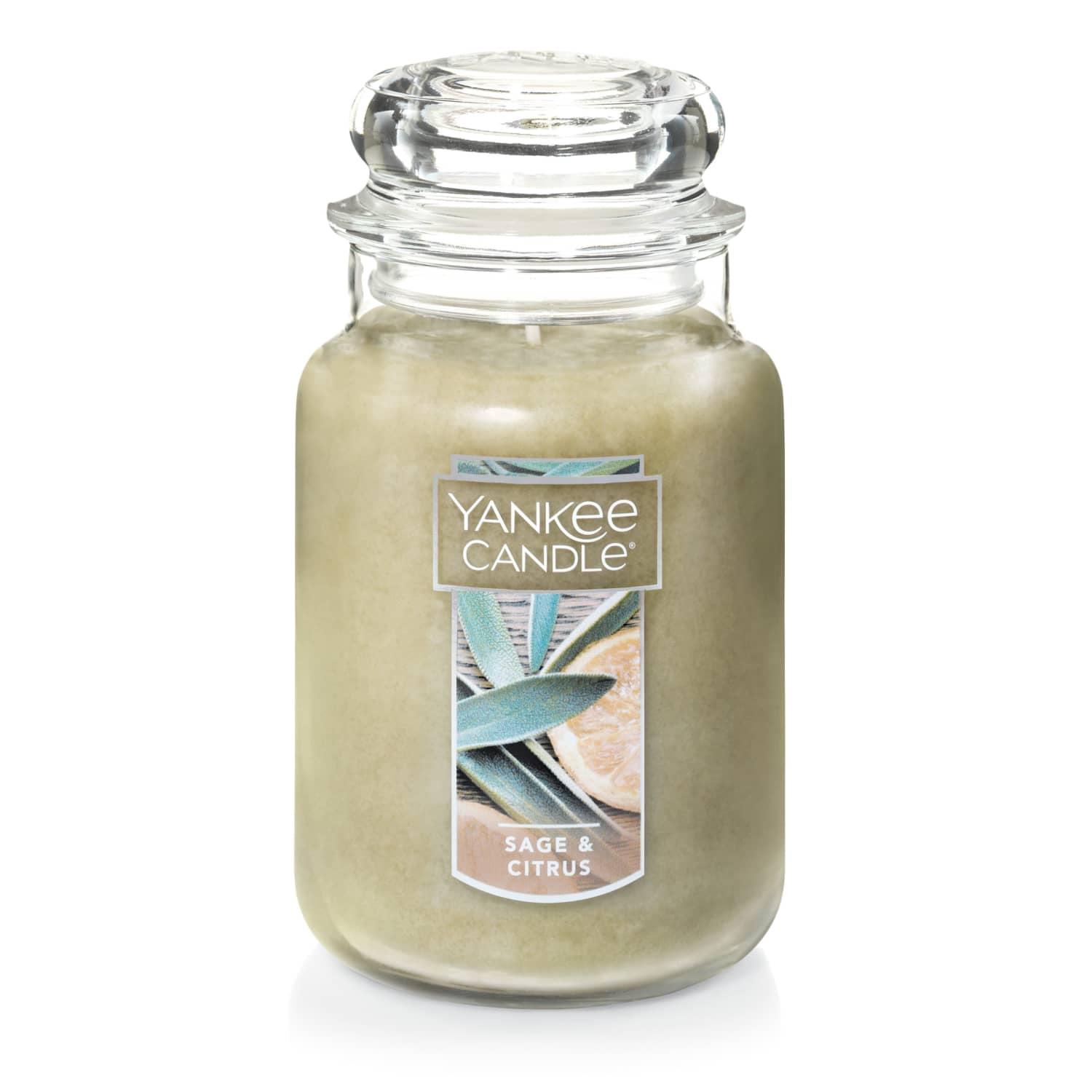 キャンドル YANKEE CANDLE Sun & Sand 22oz large jar Yankee Candle, Large Scented Jar Candle, 22 oz, Sage & Citrus