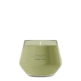 thumbnail image 1 of Yankee Candle Sage & Citrus Studio Home Decor Scented Candles, 10 oz, 1 of 9