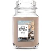 Yankee Candle 22 oz Original Large Jar Scented Candle, Seaside Woods, Beige