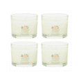 thumbnail image 1 of Yankee Candle Signature Votive Mini Candle Jar, White Spruce & Grapefruit Scent, 1.3 oz (Pack of 4), 1 of 3
