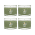 thumbnail image 1 of Yankee Candle Signature Votive Mini Candle, Sage & Citrus Scent, 1.3 oz (Pack of 4), 1 of 6