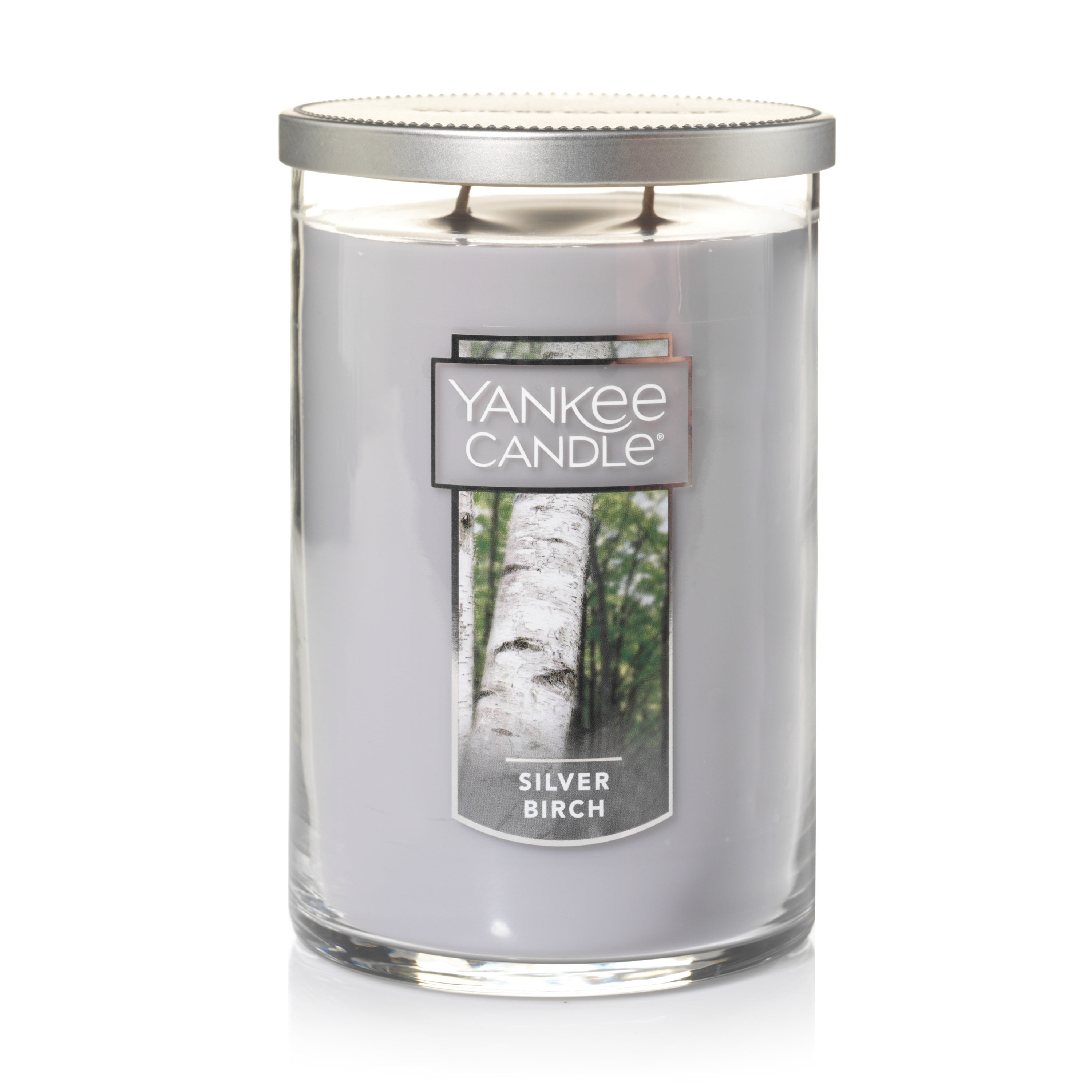 Yankee Candle Silver Birch Large 2 Wick Tumbler Candle, 22 oz