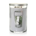 thumbnail image 1 of Yankee Candle Silver Birch Large 2 Wick Tumbler Candle, 22 oz, 1 of 5