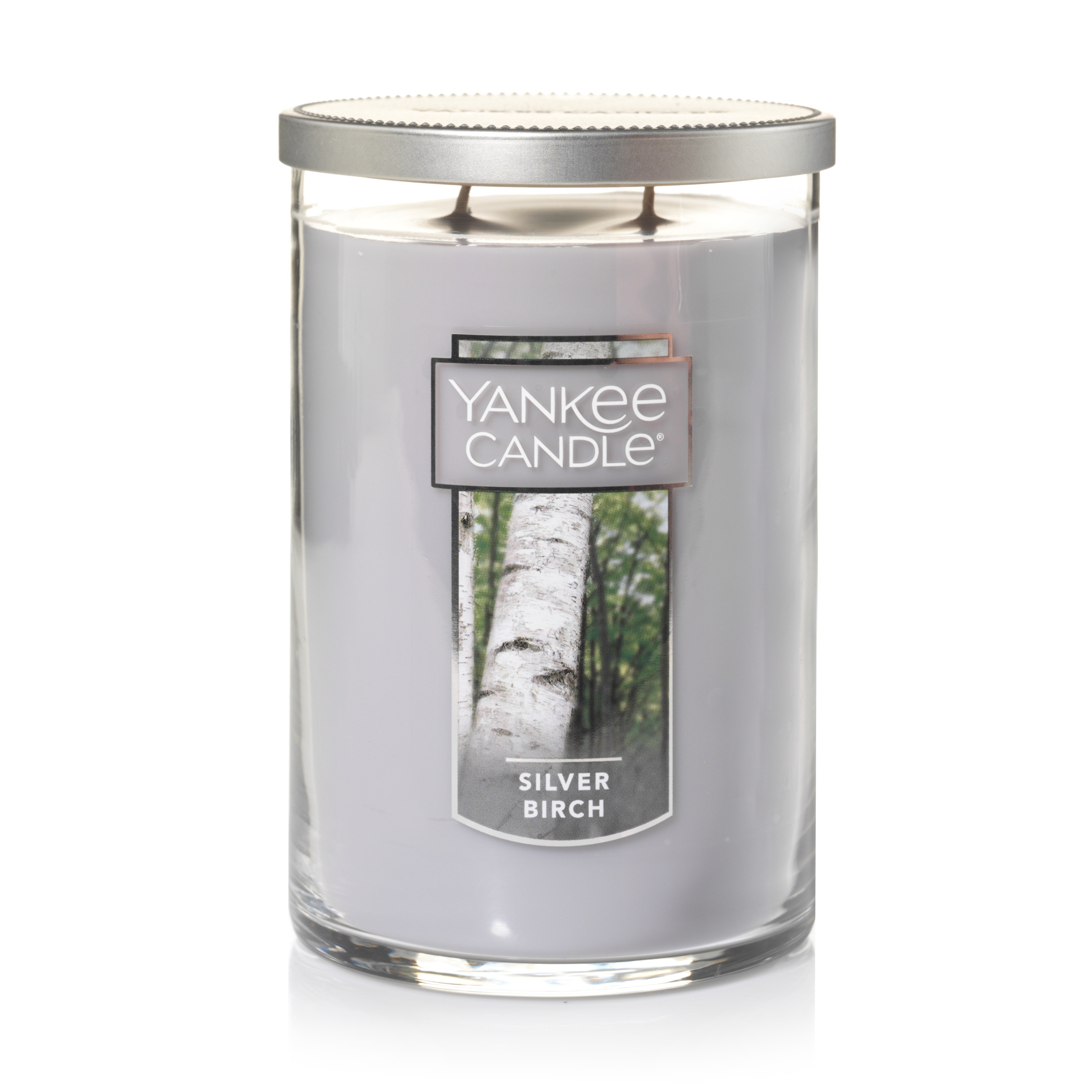 Yankee Candle Silver Birch - Large 2 Wick Tumbler Candle - image 1 of 5