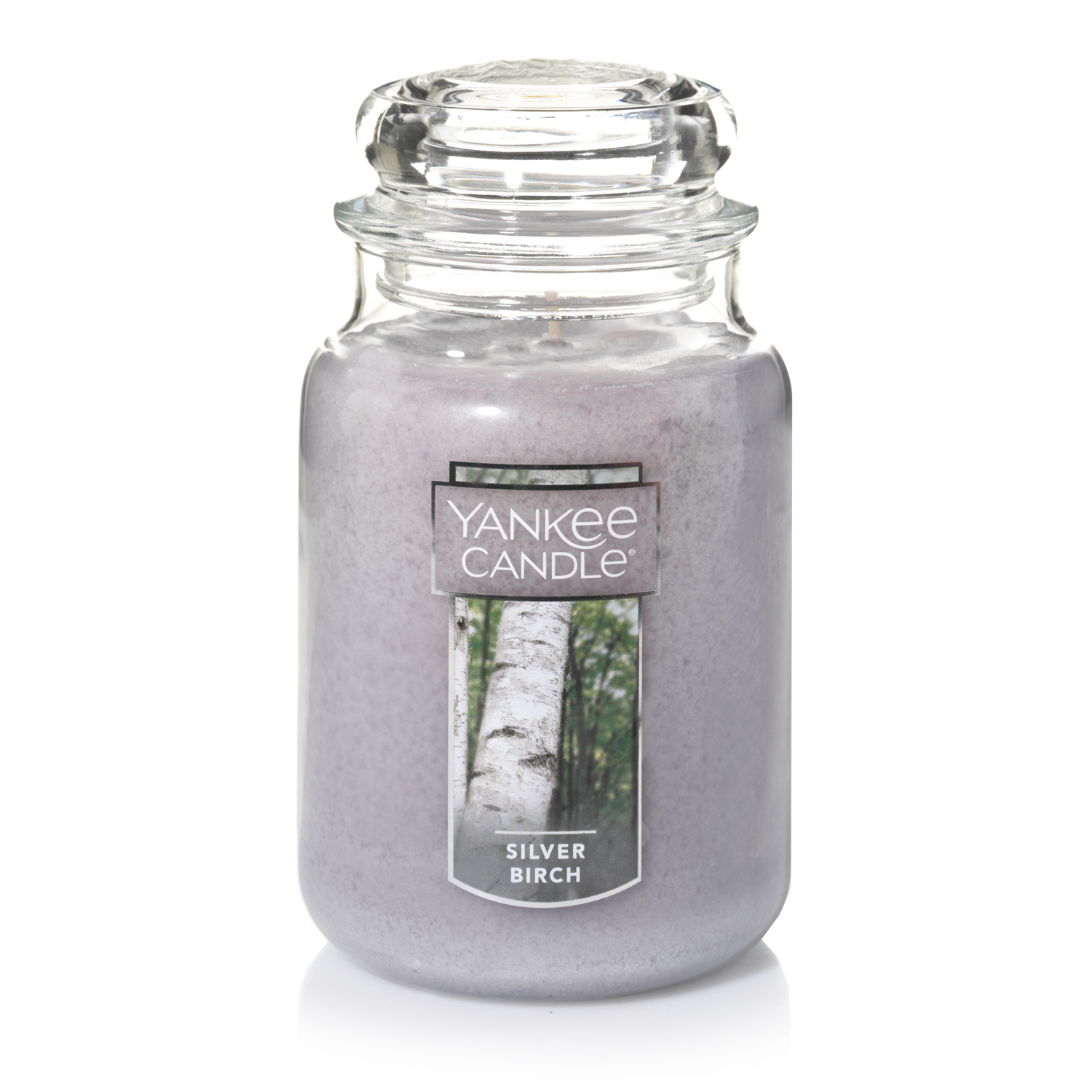 Yankee Candle Silver Birch - Original Large Jar Scented Candle - image 1 of 5
