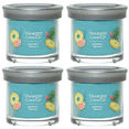 thumbnail image 1 of Yankee Candle Small Tumbler Scented Single Wick Jar Candle, Bahama Breeze, 4.3 oz (Pack of 4), 1 of 6